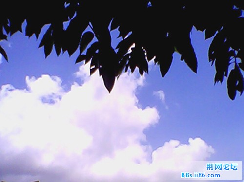 天空5_副本.jpg