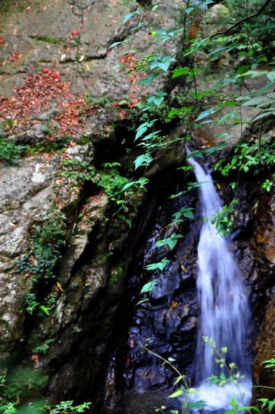 DSC_2409.jpg
