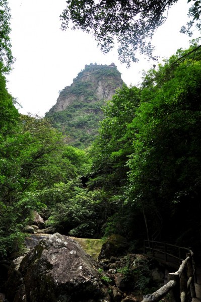 DSC_2410.jpg