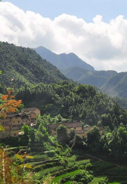山里人家