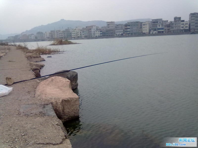 20110312147.jpg