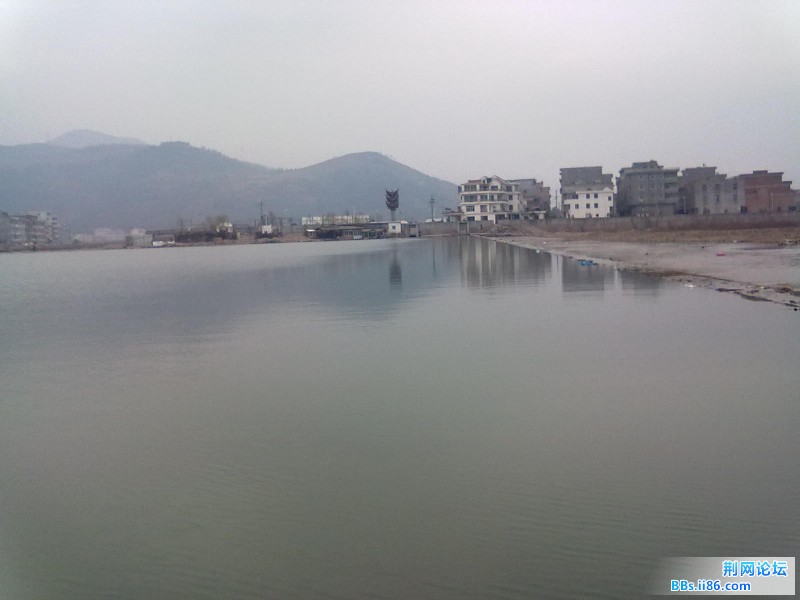 20110312150.jpg