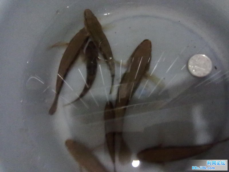 20110805915.jpg