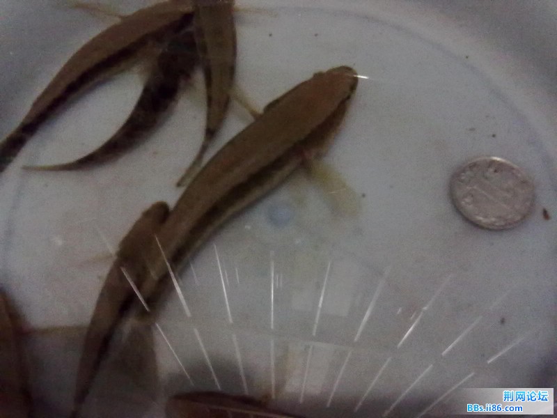 20110805916.jpg