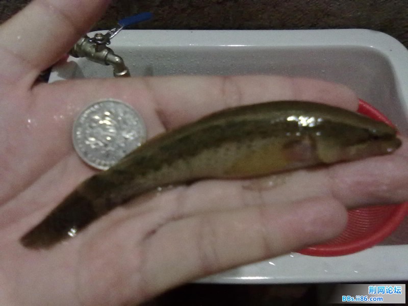 20110805919.jpg