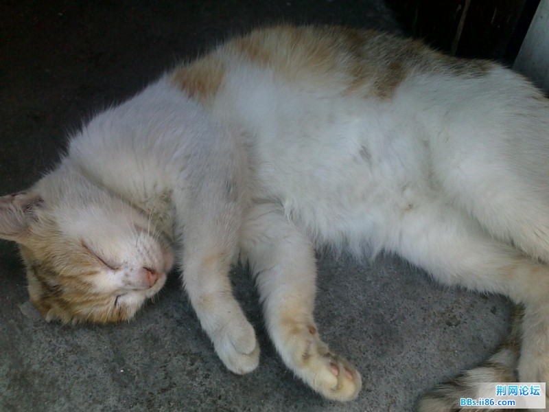 20100813200.jpg
