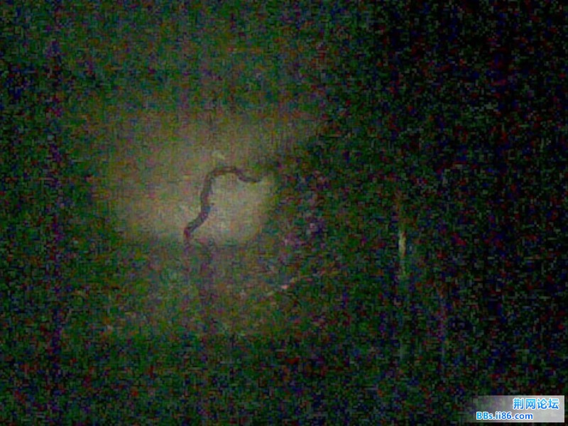 20110810(001).jpg