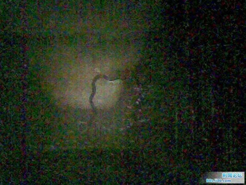 20110810(002).jpg