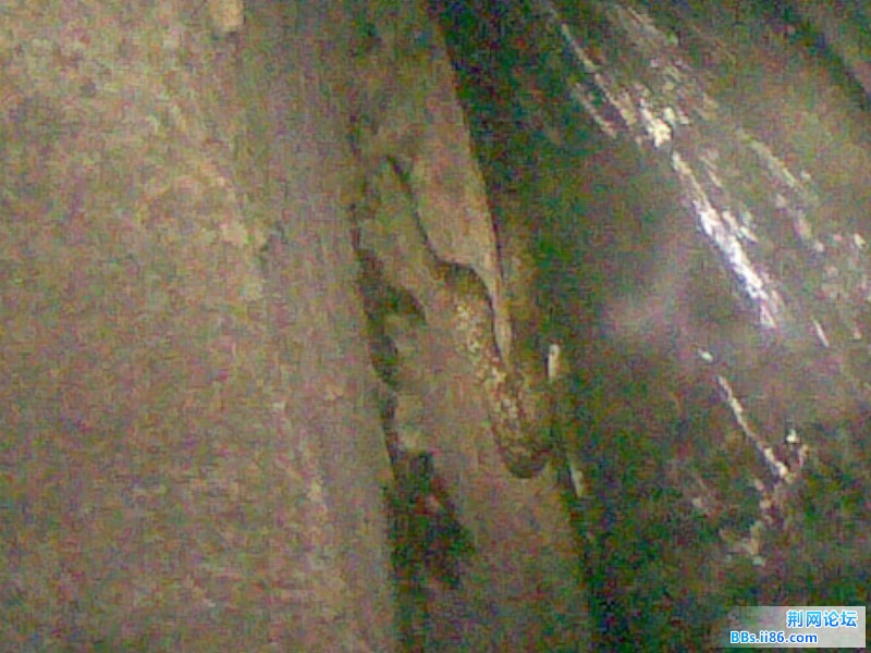 20110810(004).jpg