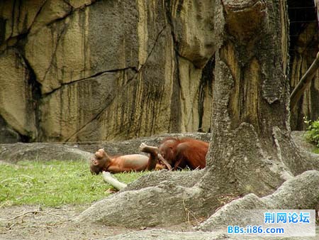 第八名：“AV”现场实录.jpg