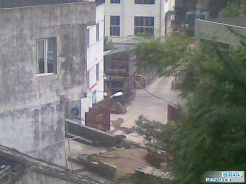 20110817(006).jpg