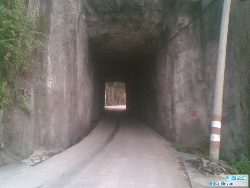 20110817(012).jpg