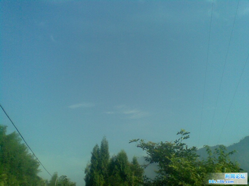 20110817(021).jpg