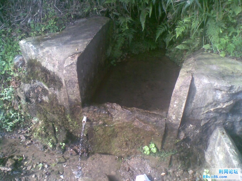 20110817(038).jpg