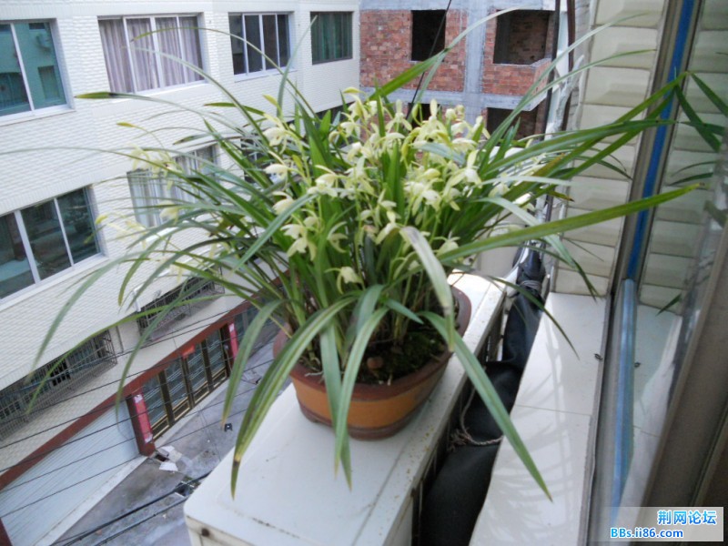 DSCN1122.JPG