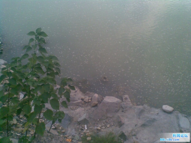 20110818.jpg