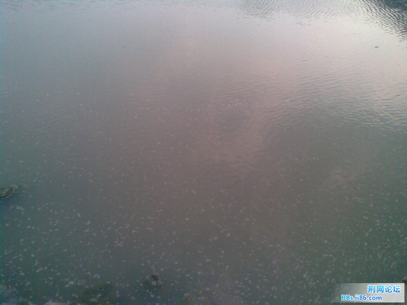 20110818(001).jpg