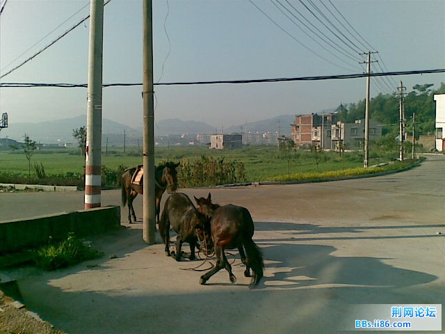 20110820(013).jpg