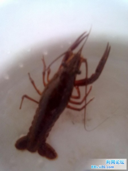 20110821941.jpg
