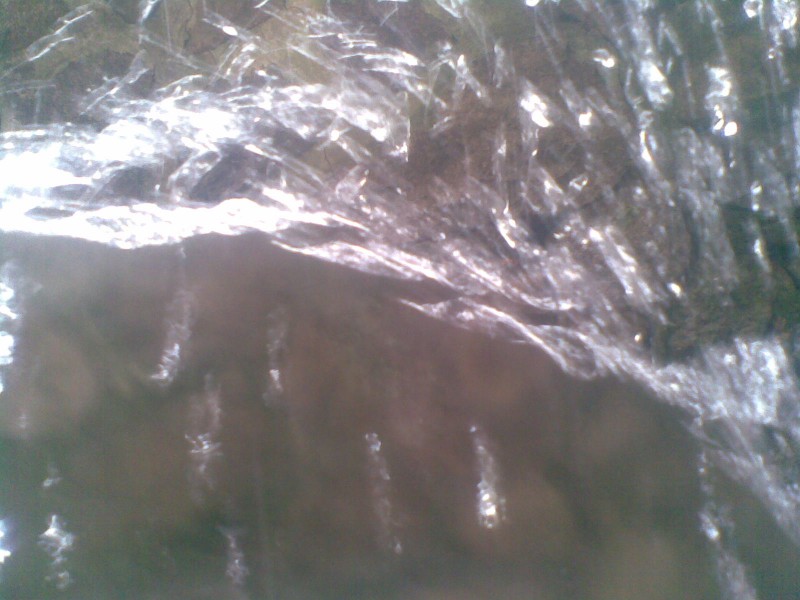 20110828(011).jpg