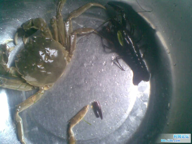 20110828.jpg