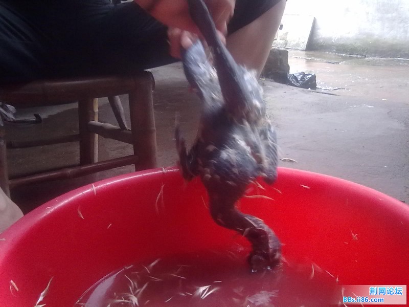 201108301730.jpg