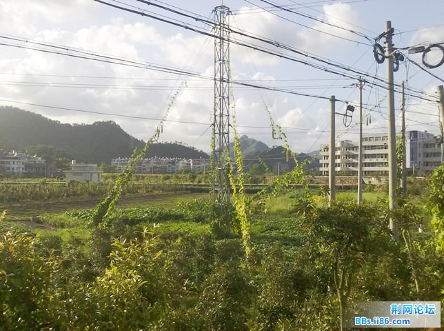 20110828375.jpg