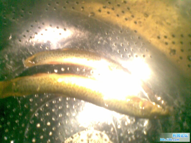 20110830(020).jpg