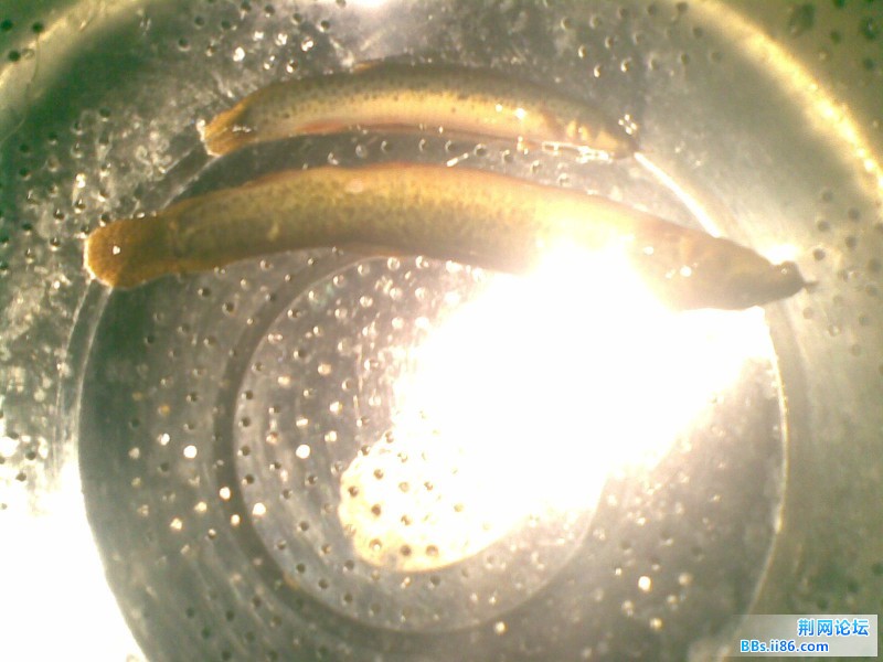 20110830(021).jpg