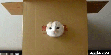 460.gif
