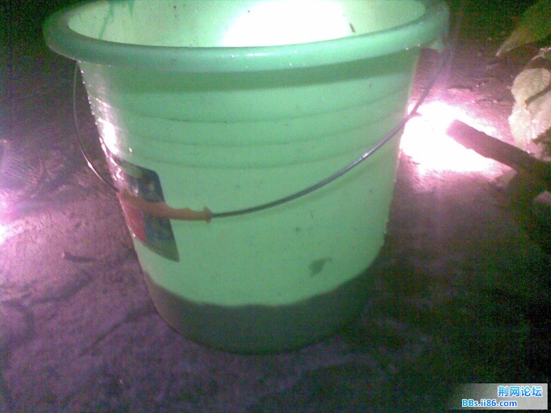 20110904.jpg