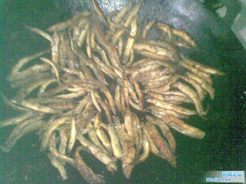 20110905.jpg
