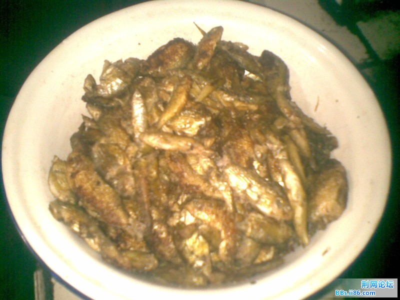 20110905(002).jpg