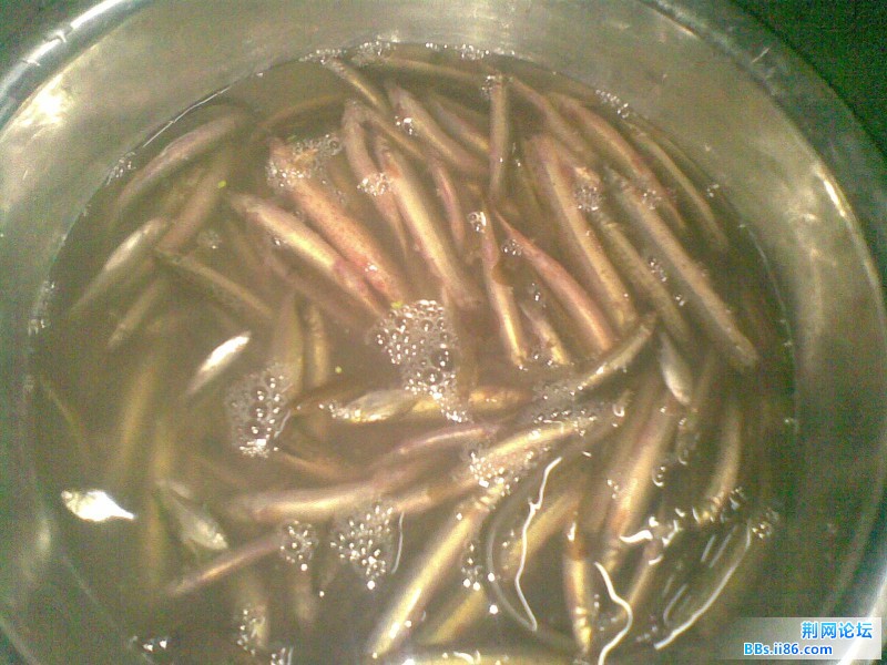 20110906(010).jpg