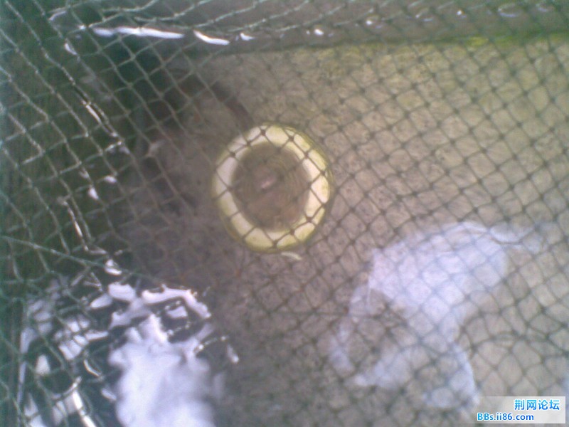 20110908(009).jpg