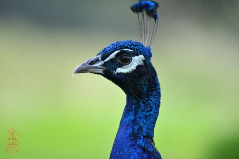 DSC_4139.jpg