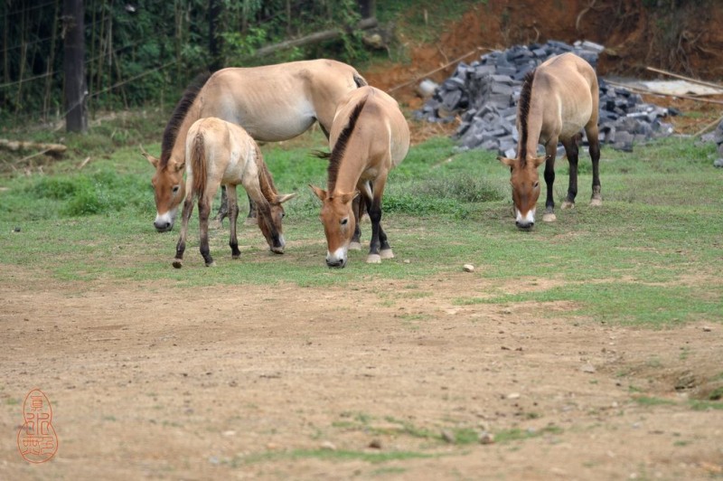 DSC_3738.jpg