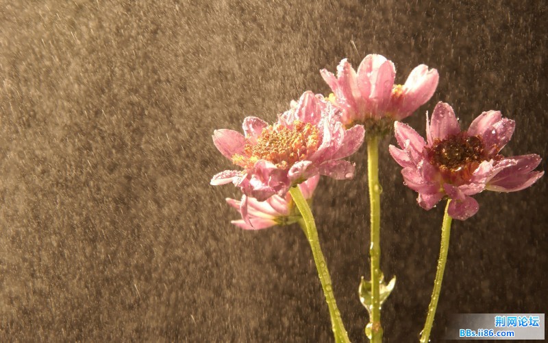 professional_lower_photography_157110.jpg