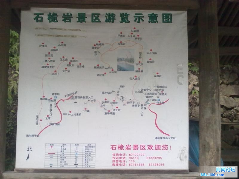 20110918446.jpg
