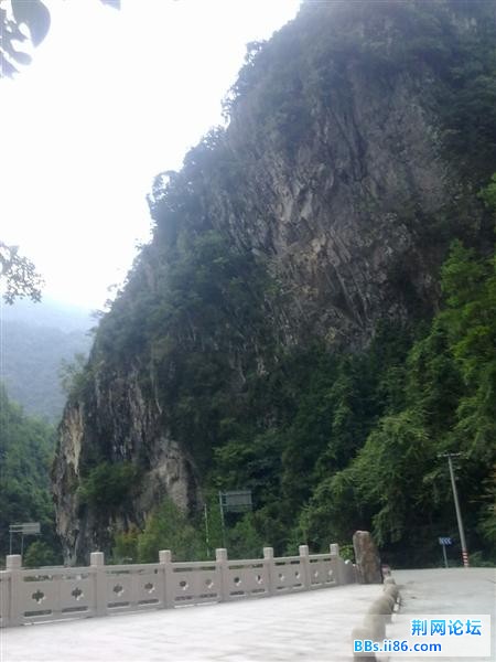 20110918447.jpg