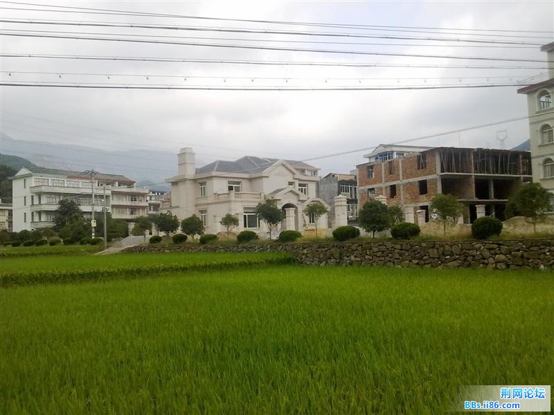 20110918463.jpg