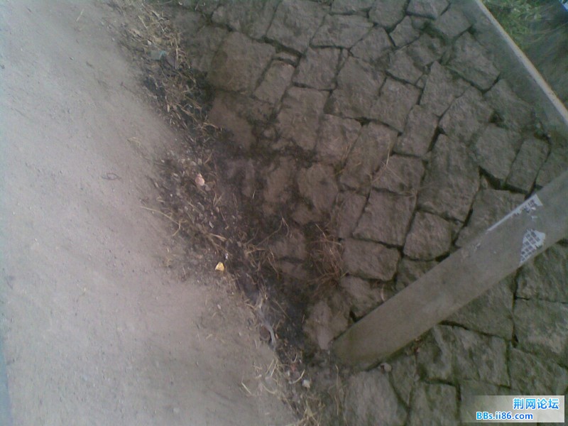 20110923(056).jpg