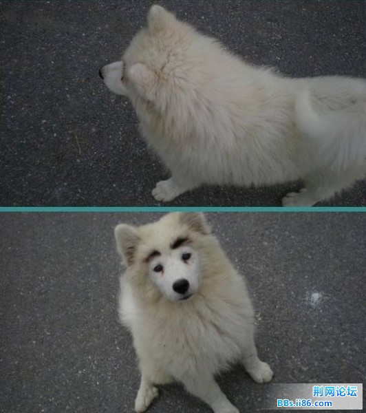 2011092810.jpg