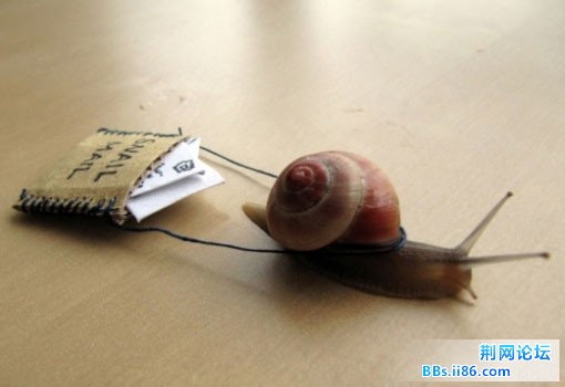 2011092502.jpg