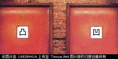 13796011.jpg