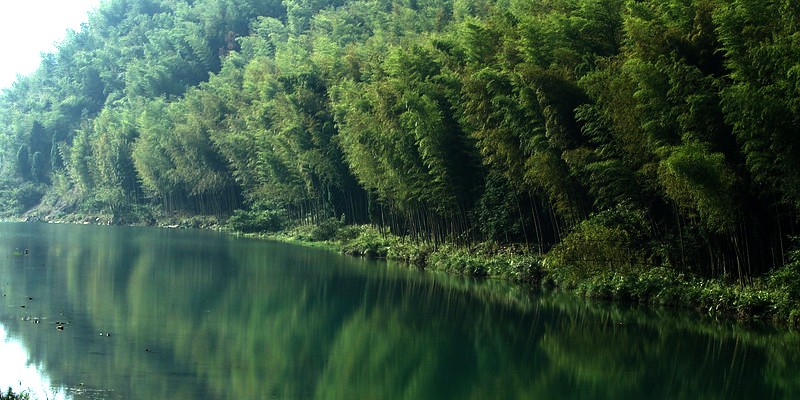 智仁IMG_3551.JPG