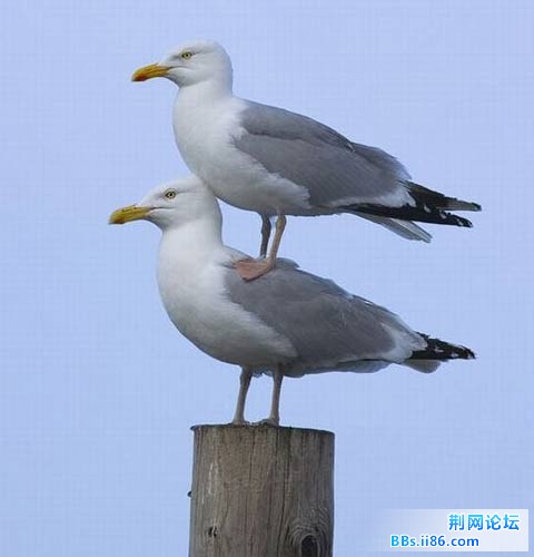2011100903.jpg