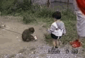 7fce3b59jw1dlz15f47nng.gif