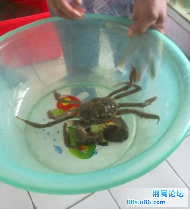 QQ截图20111015122354.jpg