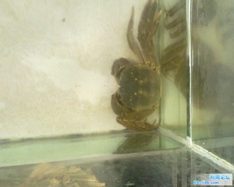 QQ截图20111015122404.jpg